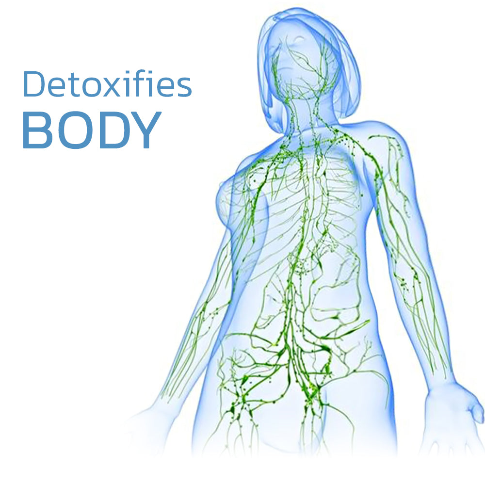 КОМПЛЕКТ EMS PULSE NECKOLOGY LYMPHVITY MASSAGER