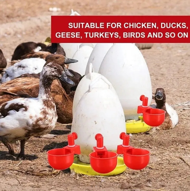 🐔 【Kup 10, odbierz 10 gratis】 Automatyczny poidło do drobiu